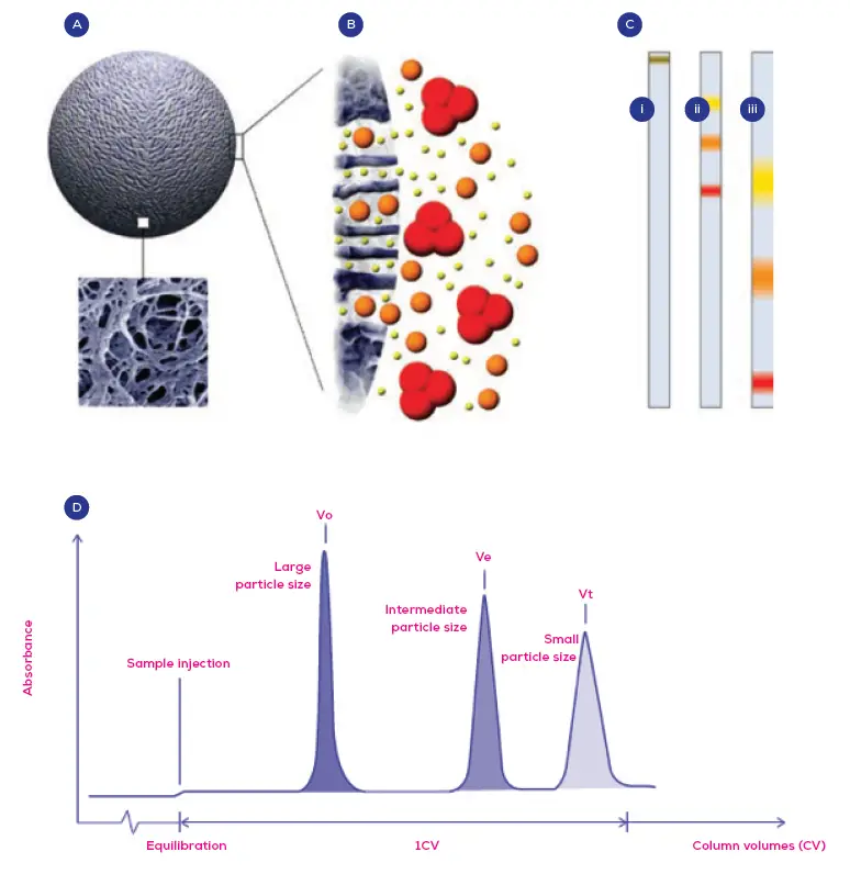 IZON-qEV2-Extra-Cellular-Vesicles-fig1