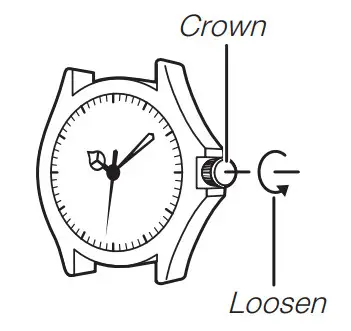 CASIO 5695 Classic Watch - Crown