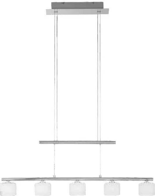 Paul Neuhaus HYDRA Pendant Light