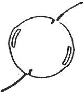 makita EM2500U Engine Brush Cutter Grass Cutter 30