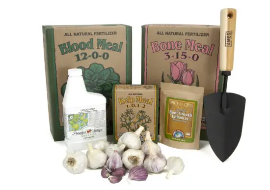 grow Organic DTE Garlic Growing Kit.jpg
