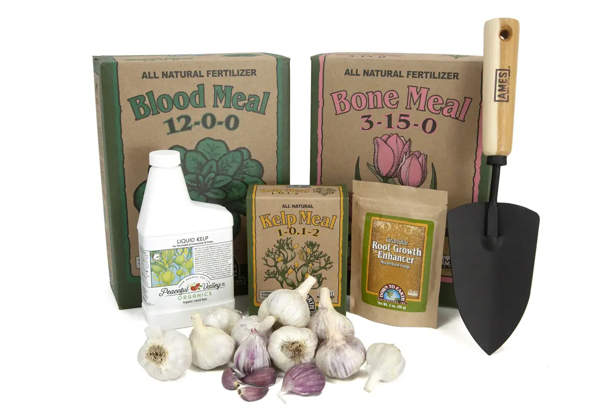 Grow Organic Dte Garlic Growing Kit User Guide