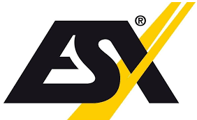 ESX logo
