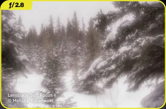 LENSBABY LBSFIIO Soft Focus II 50 Optic Lens - Aperature Comparison