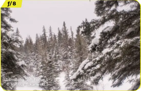 LENSBABY LBSFIIO Soft Focus II 50 Optic Lens - Aperature Comparison2