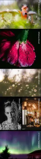 LENSBABY LBSFIIO Soft Focus II 50 Optic Lens - Pic