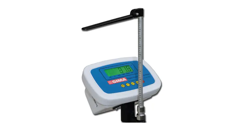 Gima Bilancia Digitale Pegaso User Manual