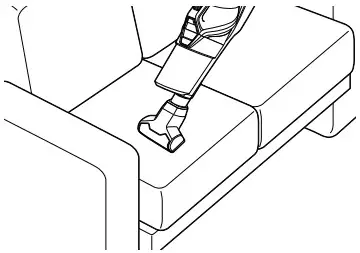 Bissell Pet Hair Eraser Slim clean