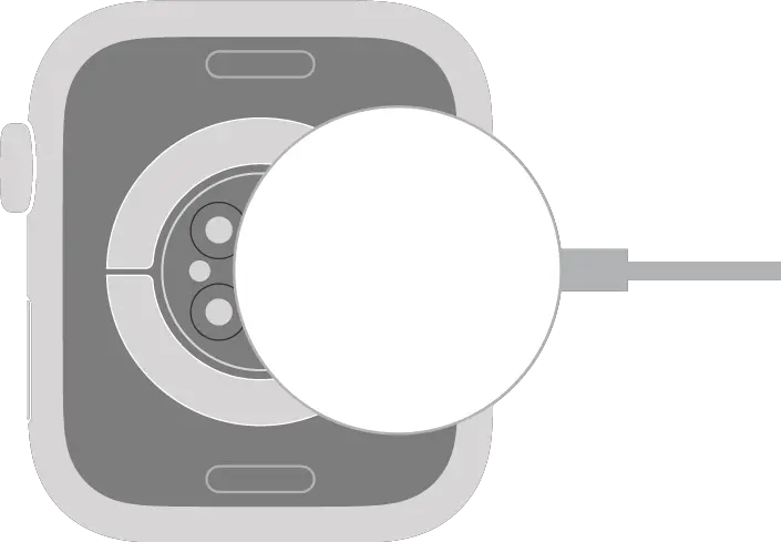 The concave end of the Apple Watch Magnetic Charging Cable snaps to the back of Apple Watch magnetically.