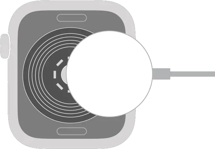 The concave end of the Apple Watch Magnetic Charging Cable snaps to the back of Apple Watch magnetically.