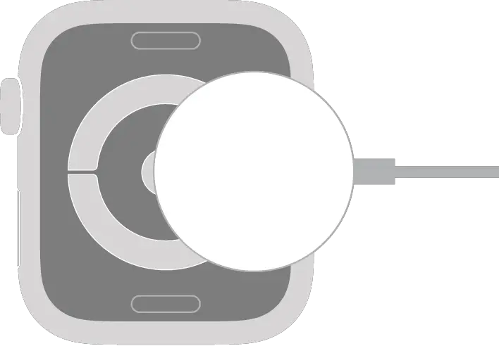 The concave end of the Apple Watch Magnetic Charging Cable snaps to the back of Apple Watch magnetically.