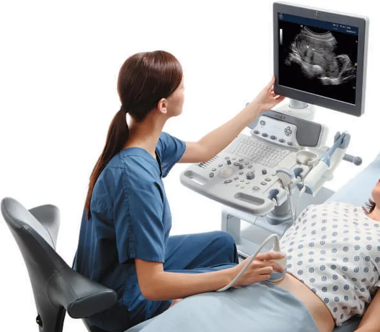 GE Healthcare Logiq P6 3D Ultrasound Machine - Fig 1