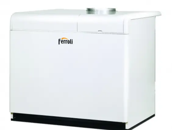 Ferroli Pegasus F3 N 2s Instruction Manual