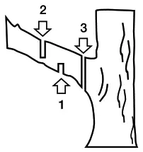GIRAFFE Podadora de Altura BRANCH 1