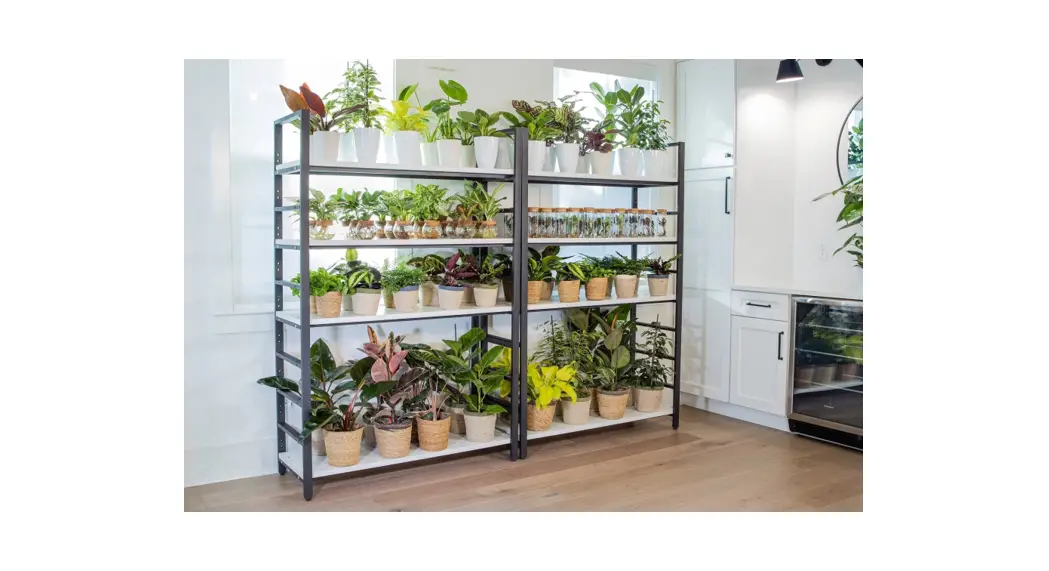 Proven Winners Phdprl0205107 7 Inch Leafjoy Dark Lord Hybrid Plant Instructions