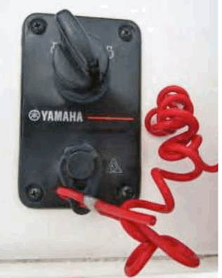 COBIA 2014 21 Bay Boat - FIg