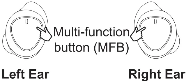 Function