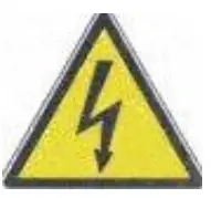 Elictric Shock Icon