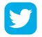 Twitter Icon