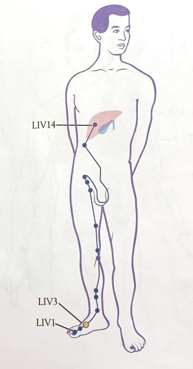 SHARPER IMAGE Meridian Energy Pen W-912 - fig10
