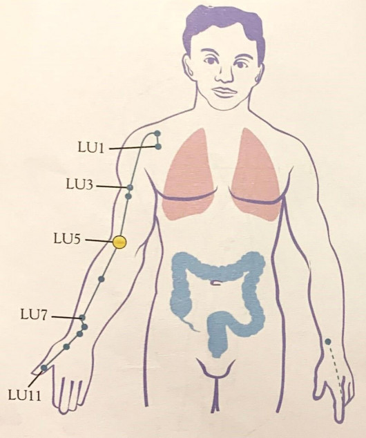 SHARPER IMAGE Meridian Energy Pen W-912 - fig11