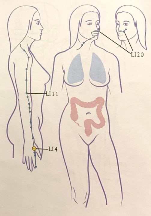 SHARPER IMAGE Meridian Energy Pen W-912 - fig13
