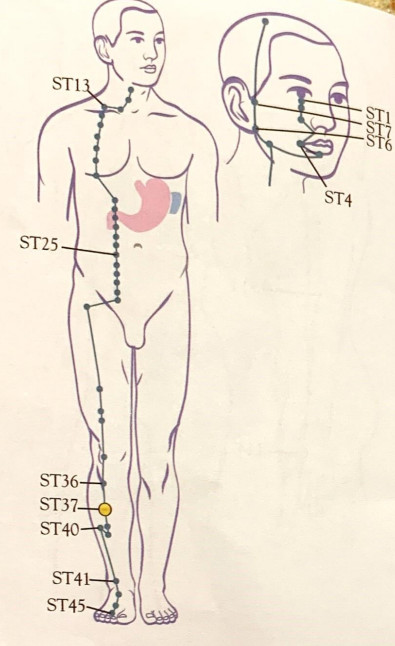 SHARPER IMAGE Meridian Energy Pen W-912 - fig14