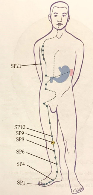 SHARPER IMAGE Meridian Energy Pen W-912 - fig15