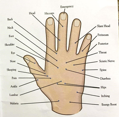 SHARPER IMAGE Meridian Energy Pen W-912 - fig17