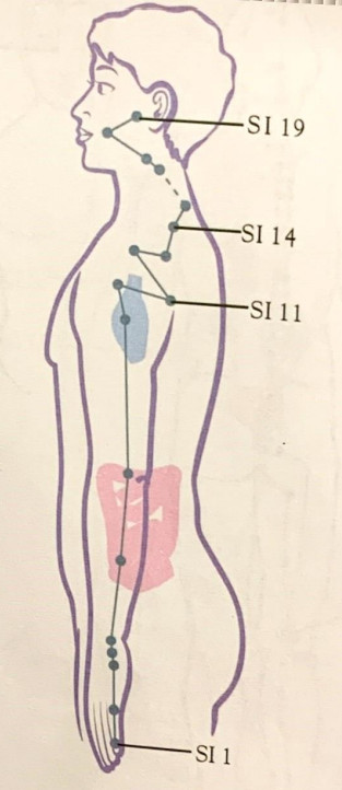 SHARPER IMAGE Meridian Energy Pen W-912 - fig4