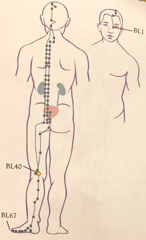 SHARPER IMAGE Meridian Energy Pen W-912 - fig5