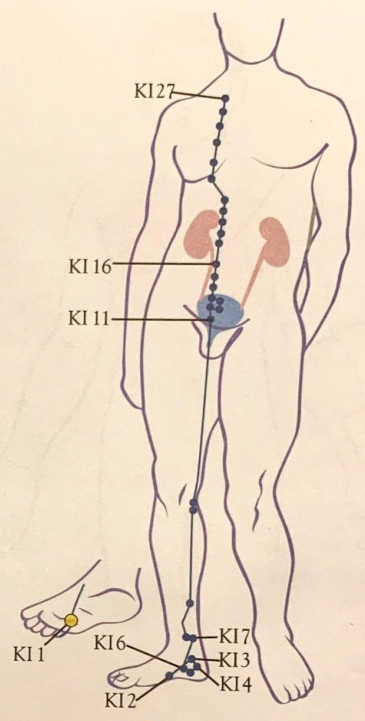 SHARPER IMAGE Meridian Energy Pen W-912 - fig6