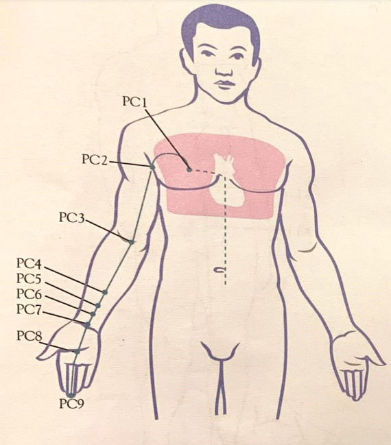 SHARPER IMAGE Meridian Energy Pen W-912 - fig7