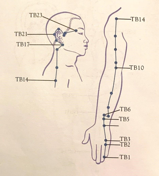 SHARPER IMAGE Meridian Energy Pen W-912 - fig8