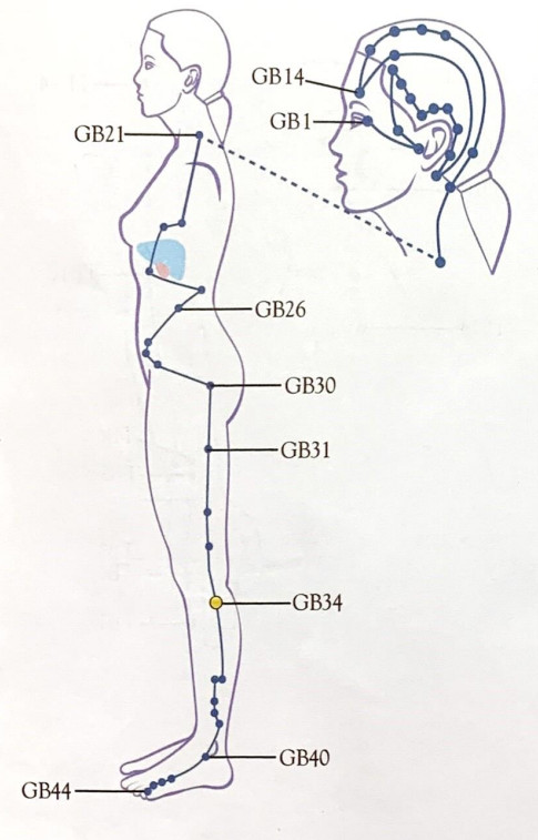 SHARPER IMAGE Meridian Energy Pen W-912 - fig9