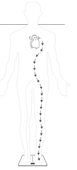 WITHINGS 3700546704444 Body Cardio Wifi Smart Scale Installation Guide-11