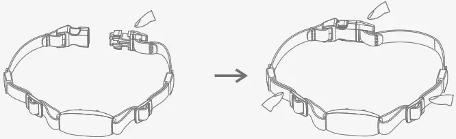 Shenzhen Deji Innovation Industrial DPA01 Pet Training Collar - picture to wear