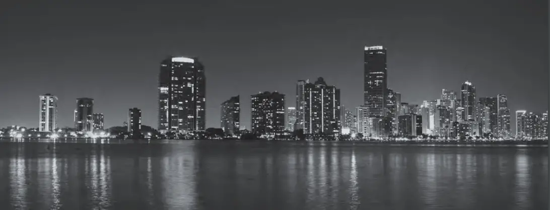 Ford 2021 Mustang Mach E Electric Vehicle - fig 1