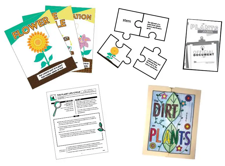 Carson-Dellosa-CD-109565-Books-1