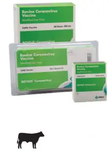 FIG 4 Bovilis® Coronavirus