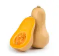 SQUASH