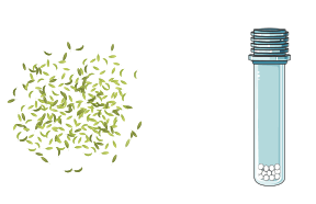 GALENVS magnetiQ Plant RNA Extraction Kit - 1