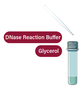 GALENVS magnetiQ Plant RNA Extraction Kit - 7