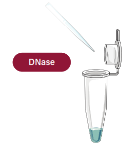 GALENVS magnetiQ Plant RNA Extraction Kit - 8