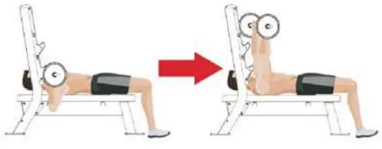 SPIRIT SP-4209 Olympic Flat Weight Bench fig 8