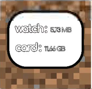 ACCUTIME INTERACTIVE W 13