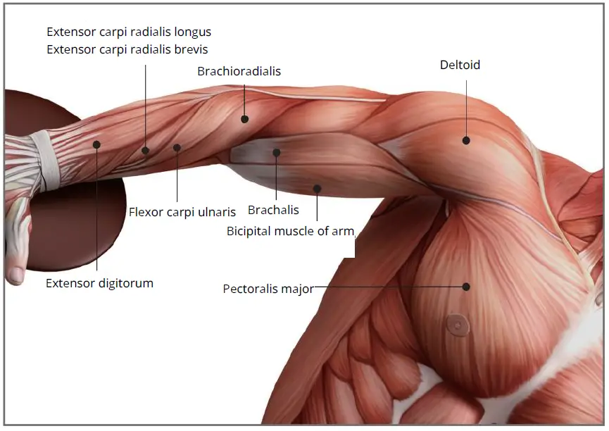 muje-M6-Professional-Massage-Gun-Deep-FIG-8