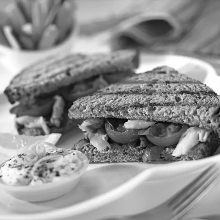 Russell Hobbs 17888 3-In-1 Panini Grill--SMOKED MACKEREL