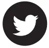 Twitter Icon