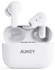 Warbler LH-W1 True Wireless Earbuds